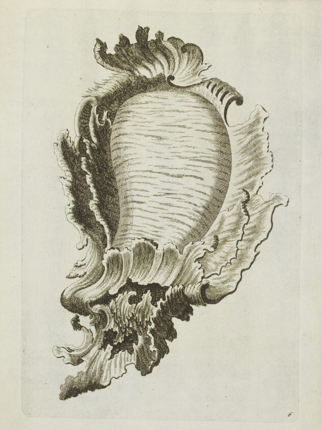 Neu inventirte cartouches vor allerley Künstler (third quarter 18th century) by Christoph Melchior Roth