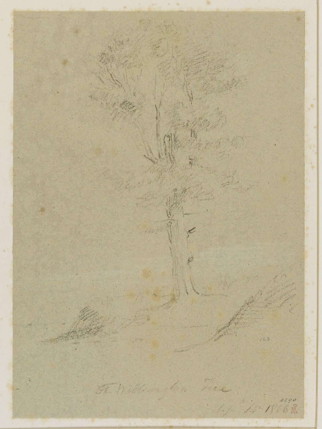 John Jackson, The Wellington Tree