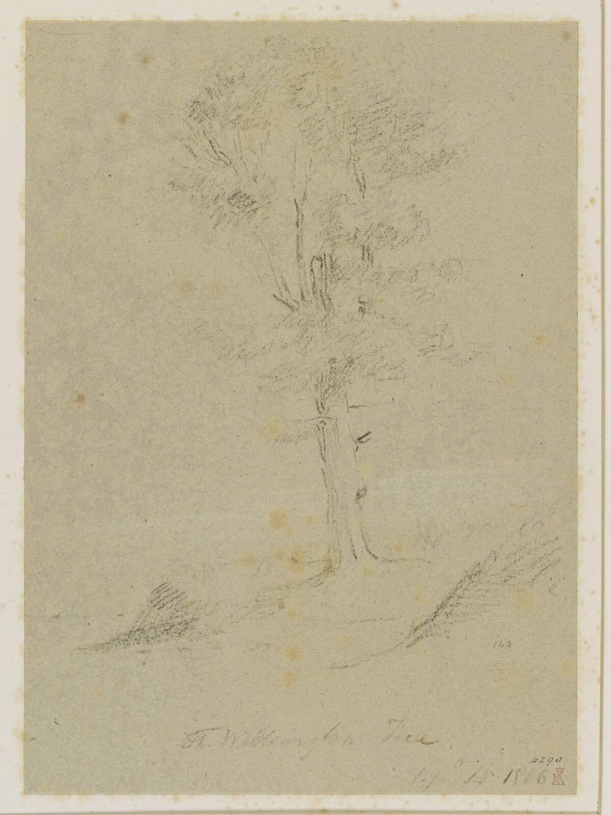 The Wellington Tree, John Jackson, 1816