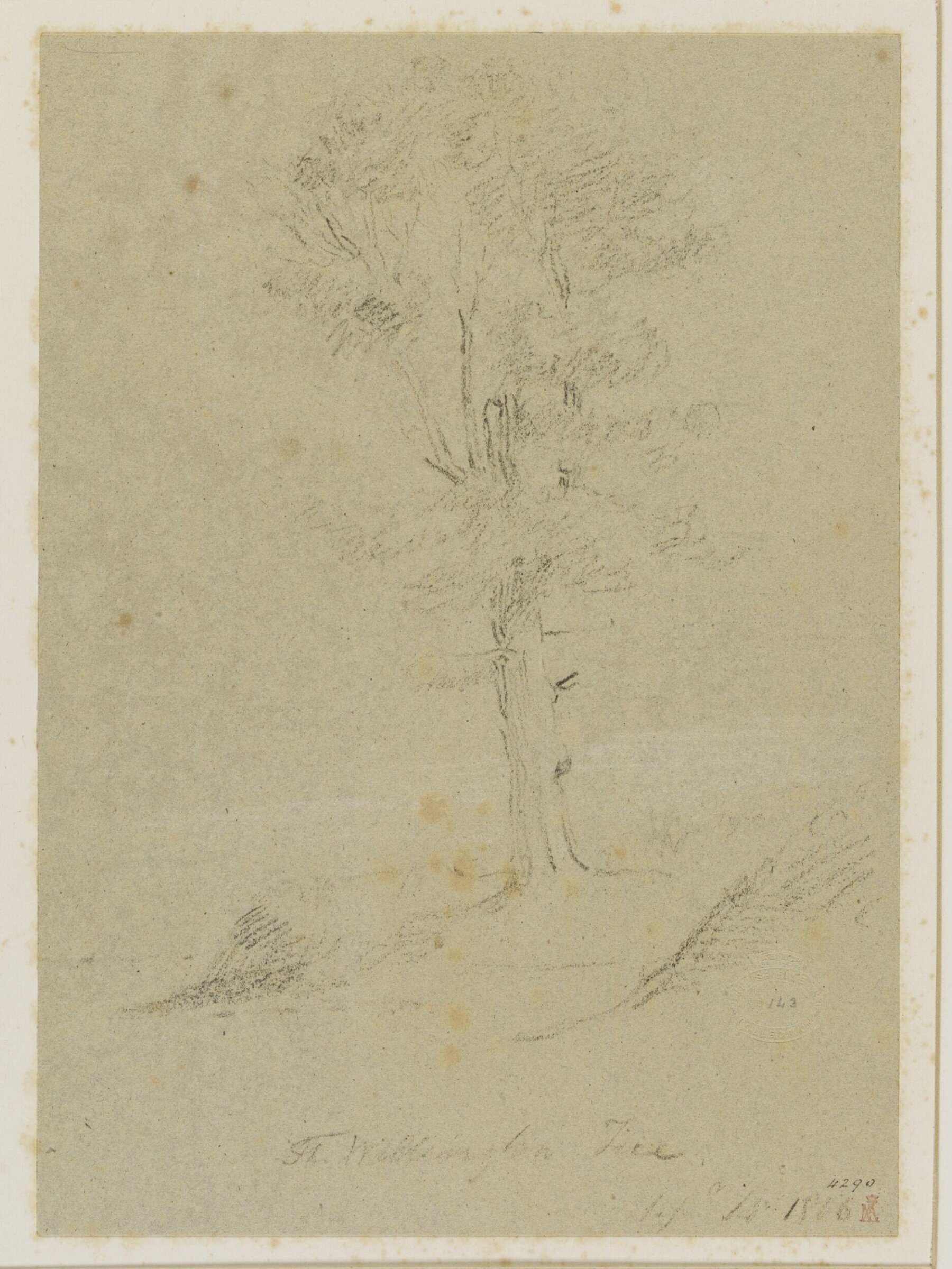 The Wellington Tree, John Jackson, 1816