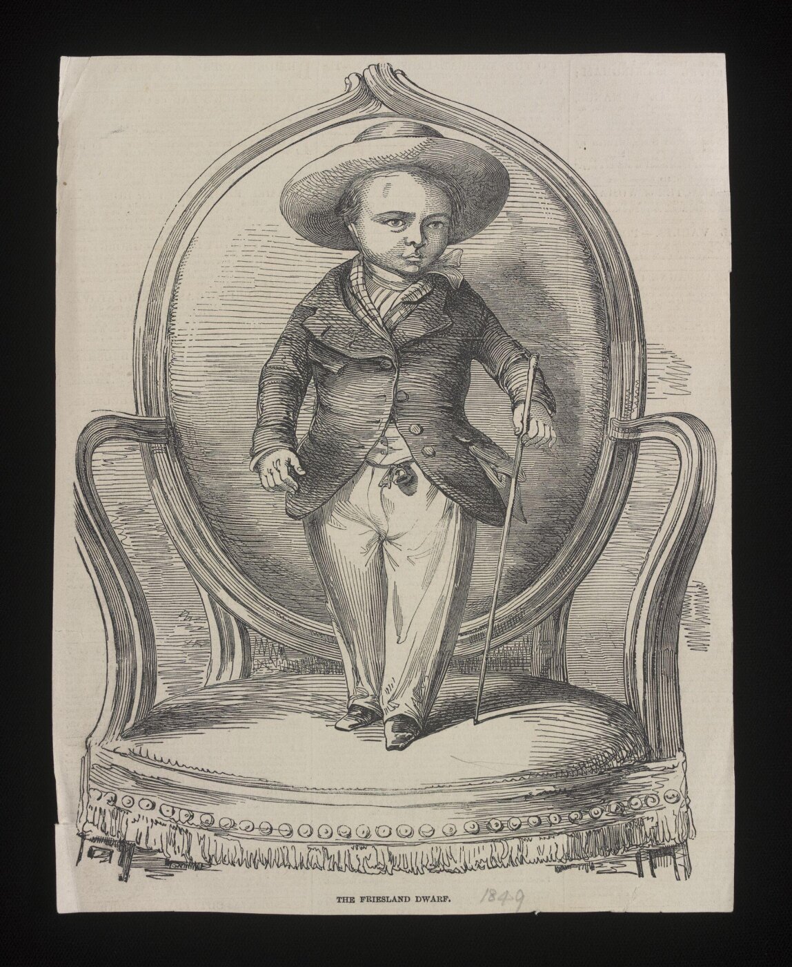 Unknown, The Friesland Dwarf