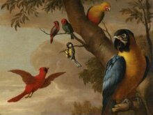 Farm birds with a macaw and a tom-tit in a tree thumbnail 1
