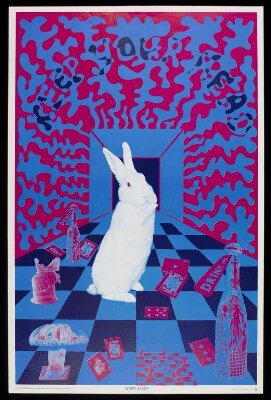 White Rabbit