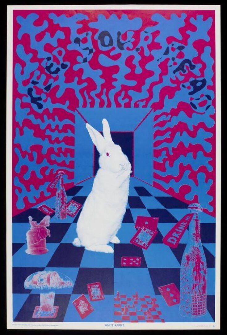 White Rabbit top image