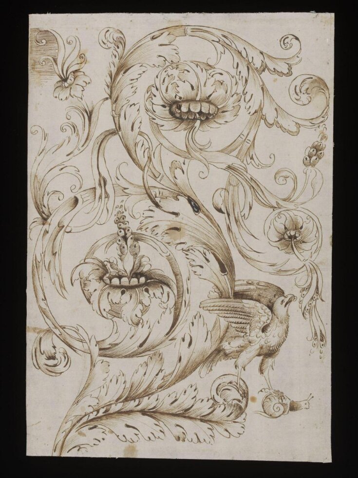 Decorative acanthus scrollwork with bird of prey and snail  top image