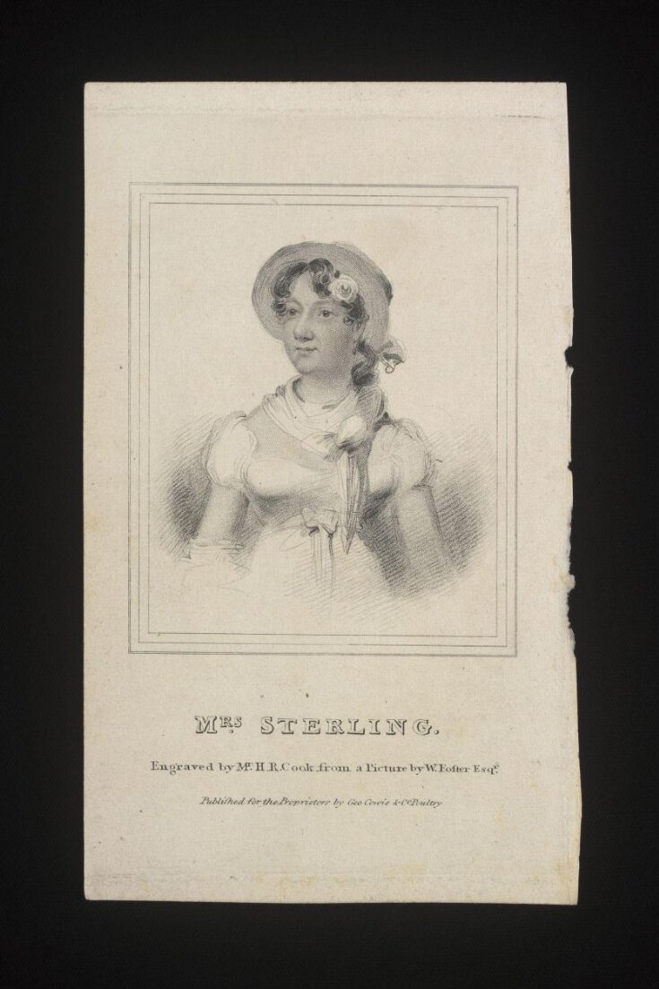 Mrs Sterling top image