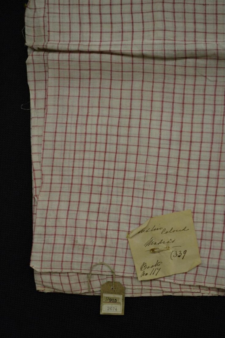 Checked Muslin top image