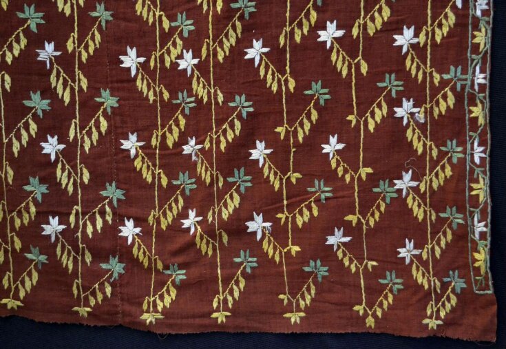 Phulkari top image