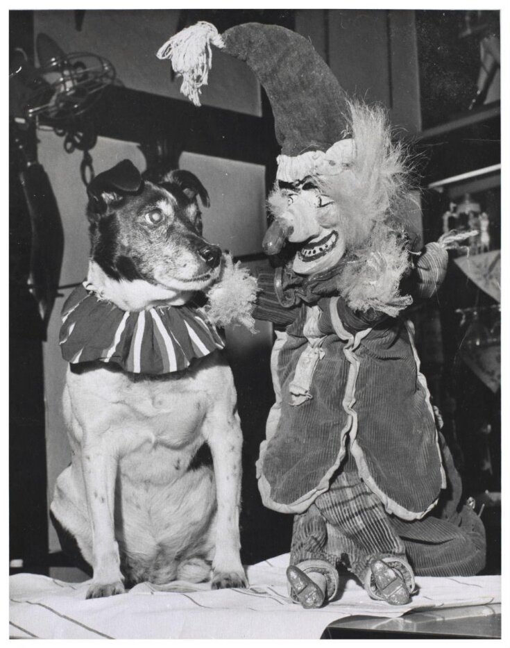 Toby The Dog And Mr Punch In Professor Bert Codman s Punch Judy Show