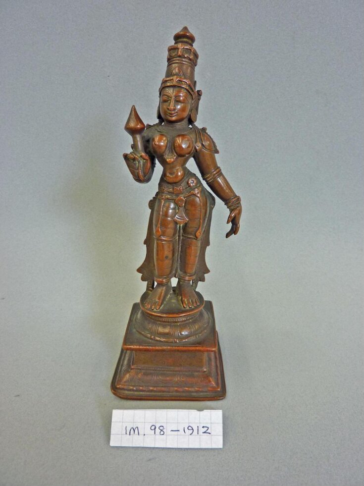 Bhu Devi top image