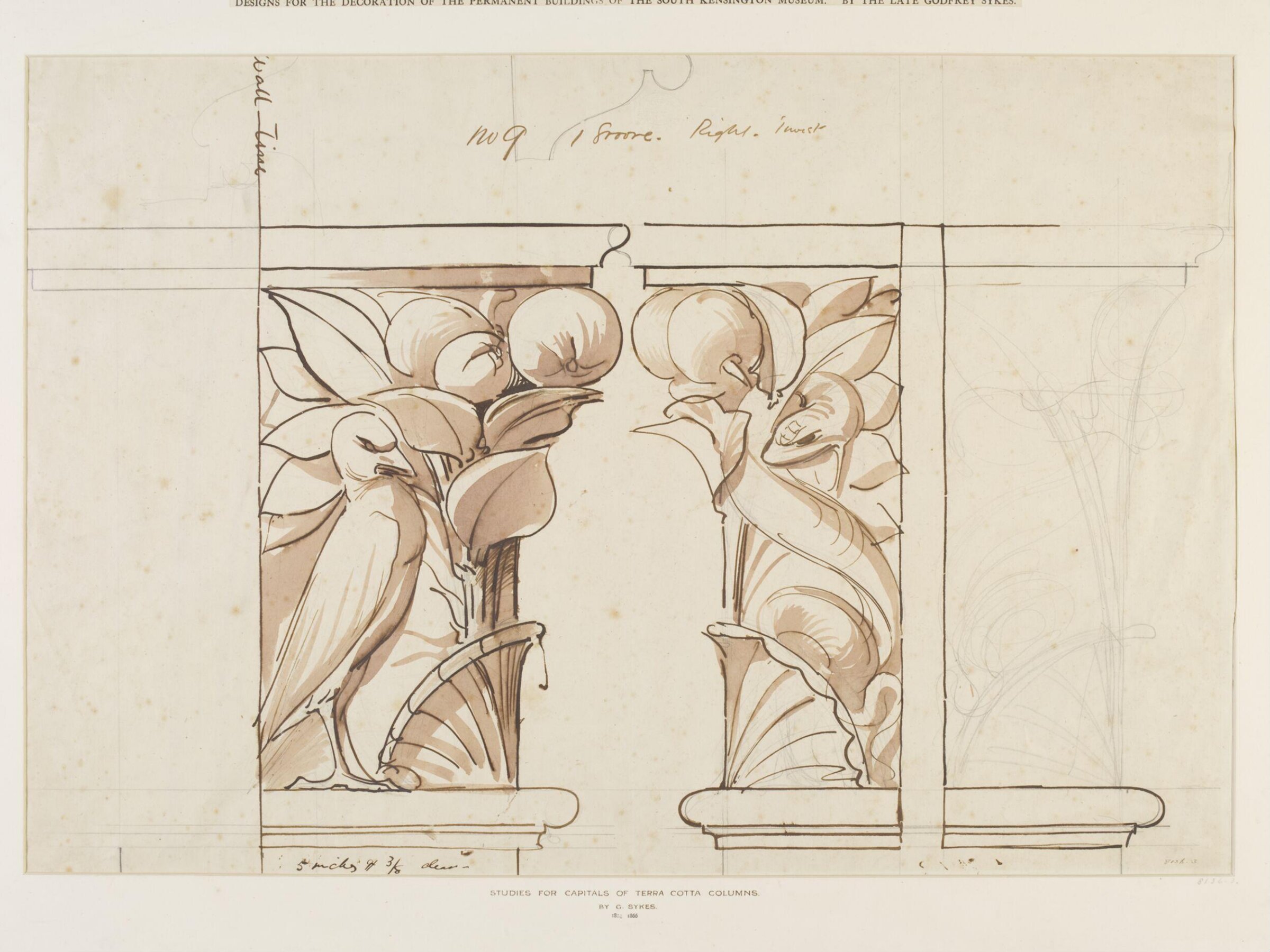 Studies for capitals of terra cotta columns: bird and snake, Godfrey Sykes, nineteenth century