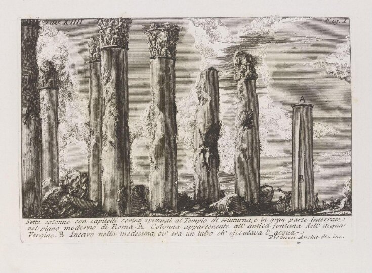 Seven columns of the Temple of Juturna (actually the Temple of Matidia) with Corinthian capitals top image