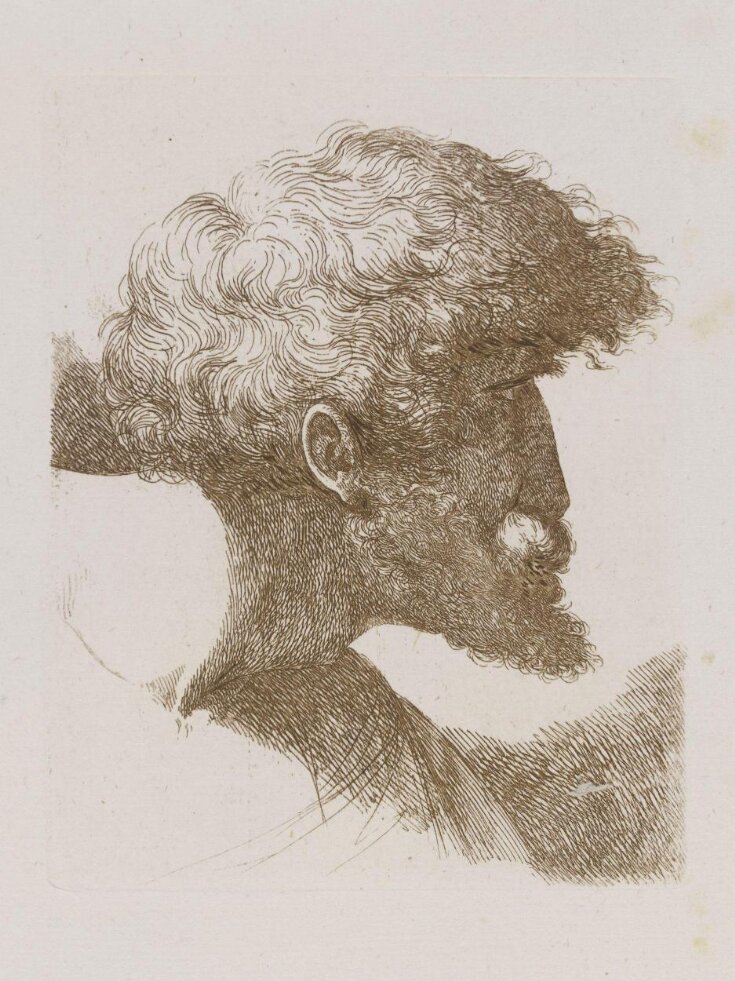 Raccolta di alcuni disegni del Barberi da Cento detto Il Guercino image