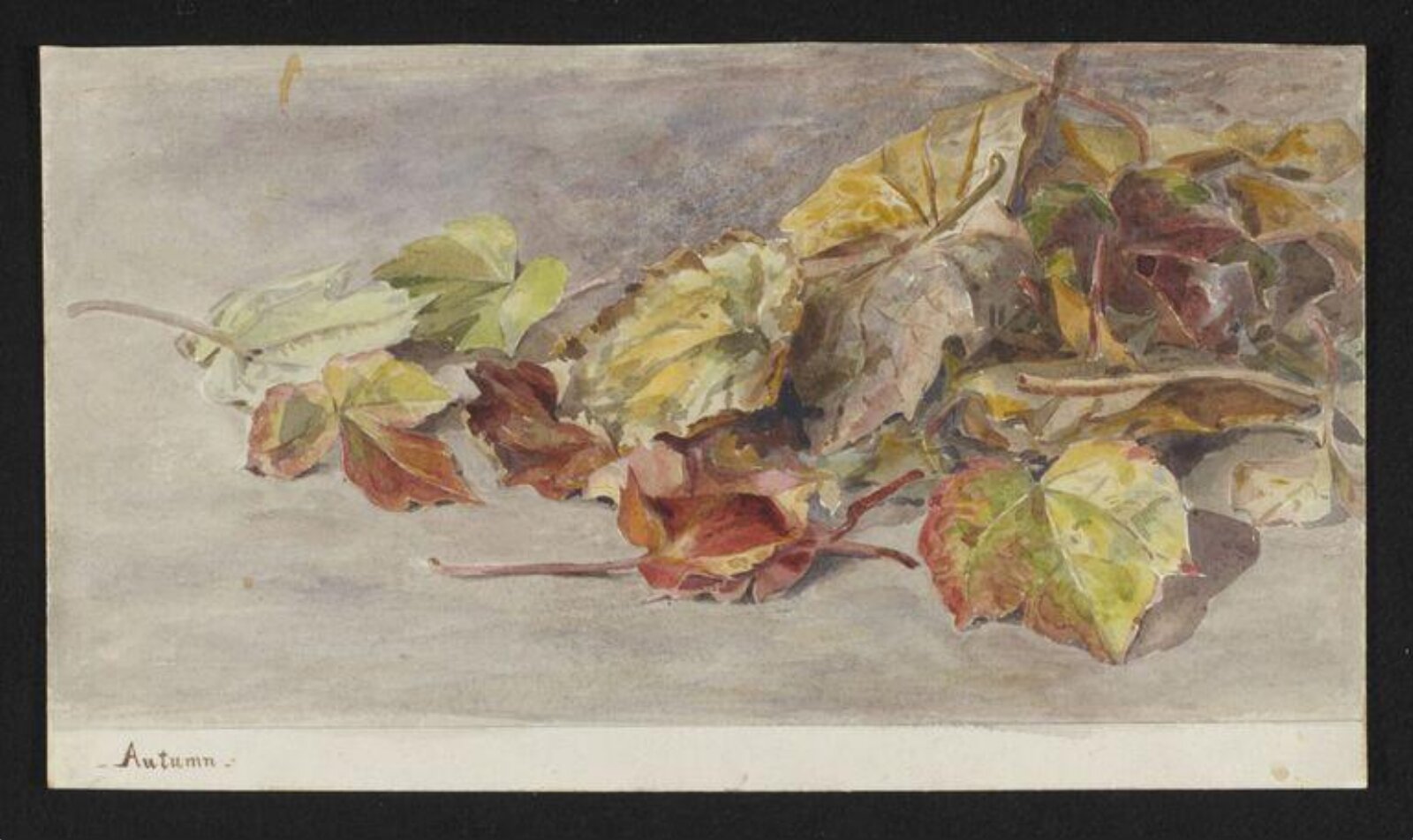 Autumn, Beatrix Potter, ca.1880