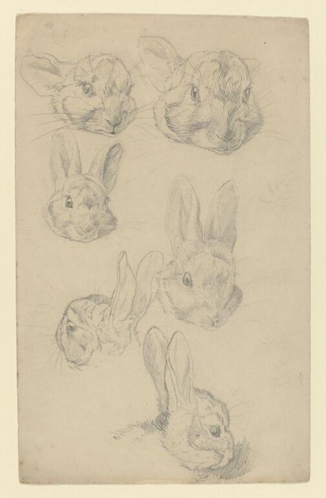 drawing, Beatrix Potter, ca.1890