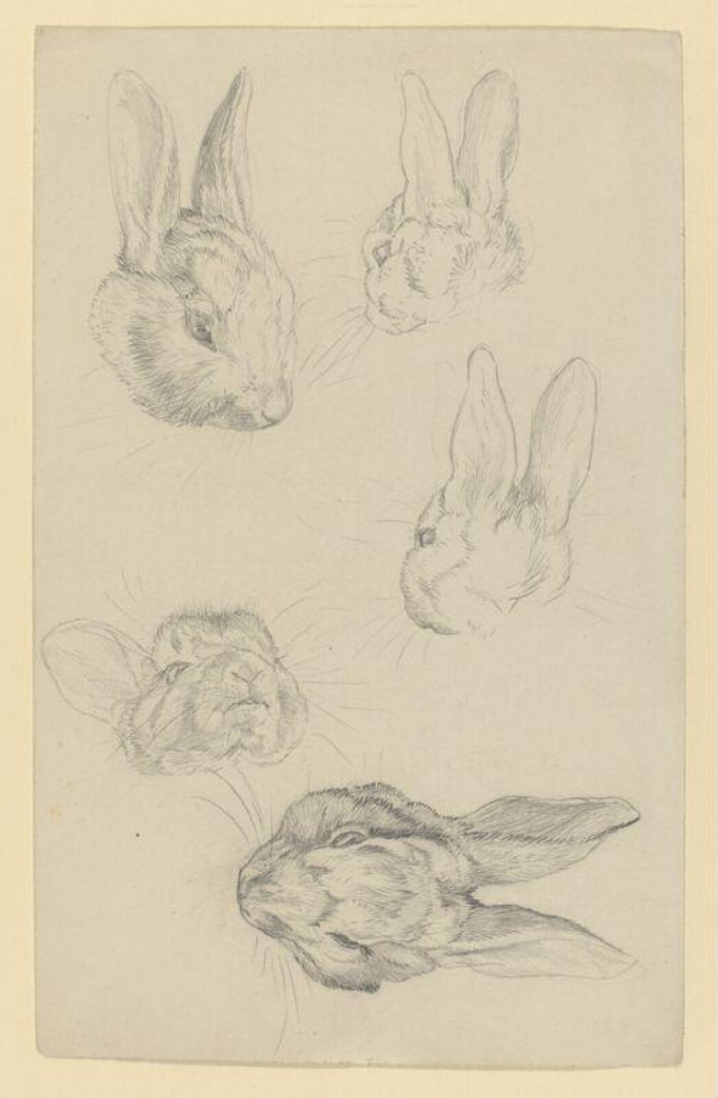drawing, Beatrix Potter, ca.1890
