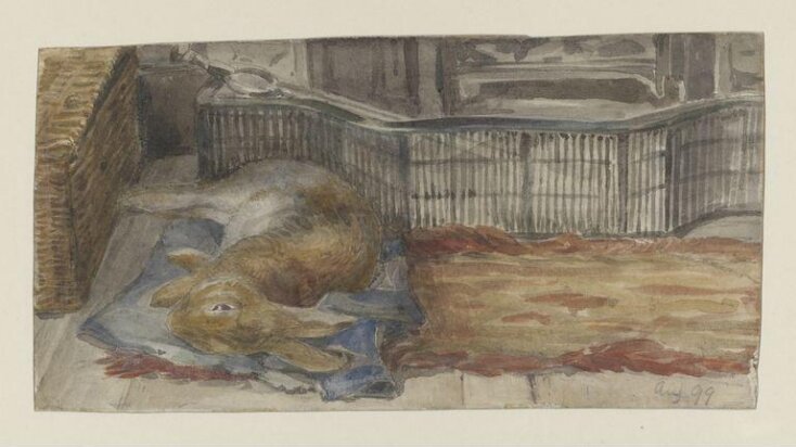 Peter Piper lying on his blue quilt by the fire top image