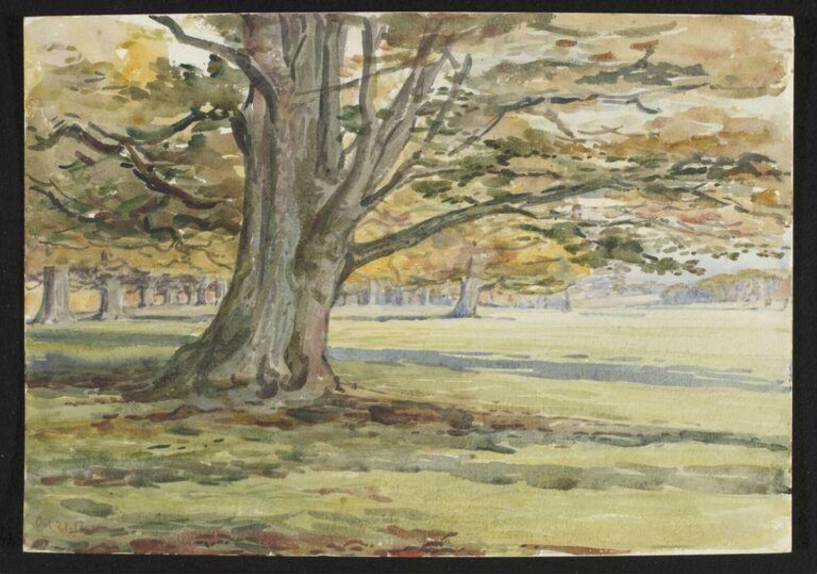 Watercolour, Beatrix Potter, 21/10/1912