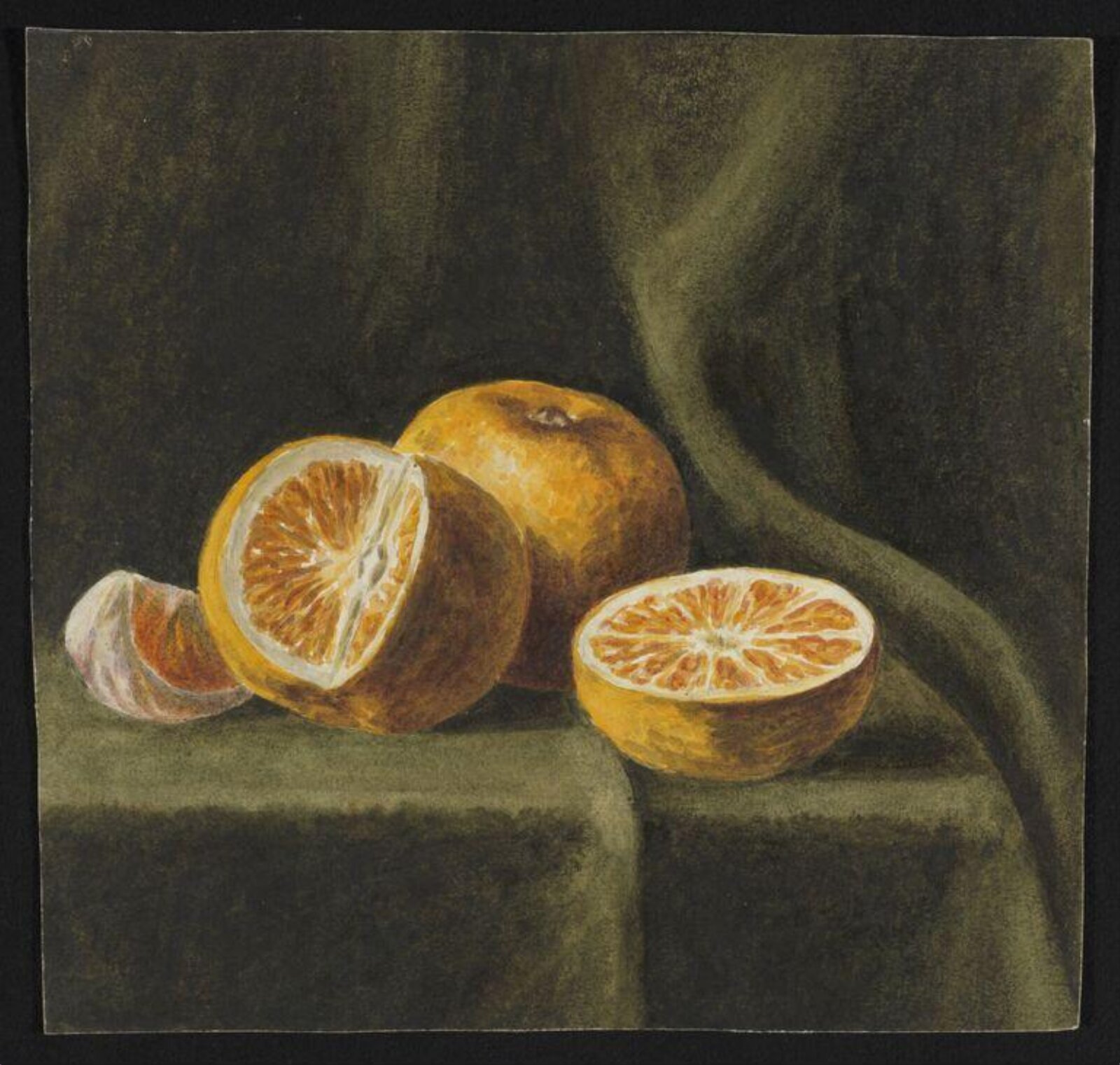 Watercolour, Beatrix Potter, 03/1883