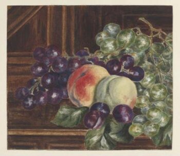 Postcard Still Life of Grapes & Peaches by Beatrix Potter P133x 