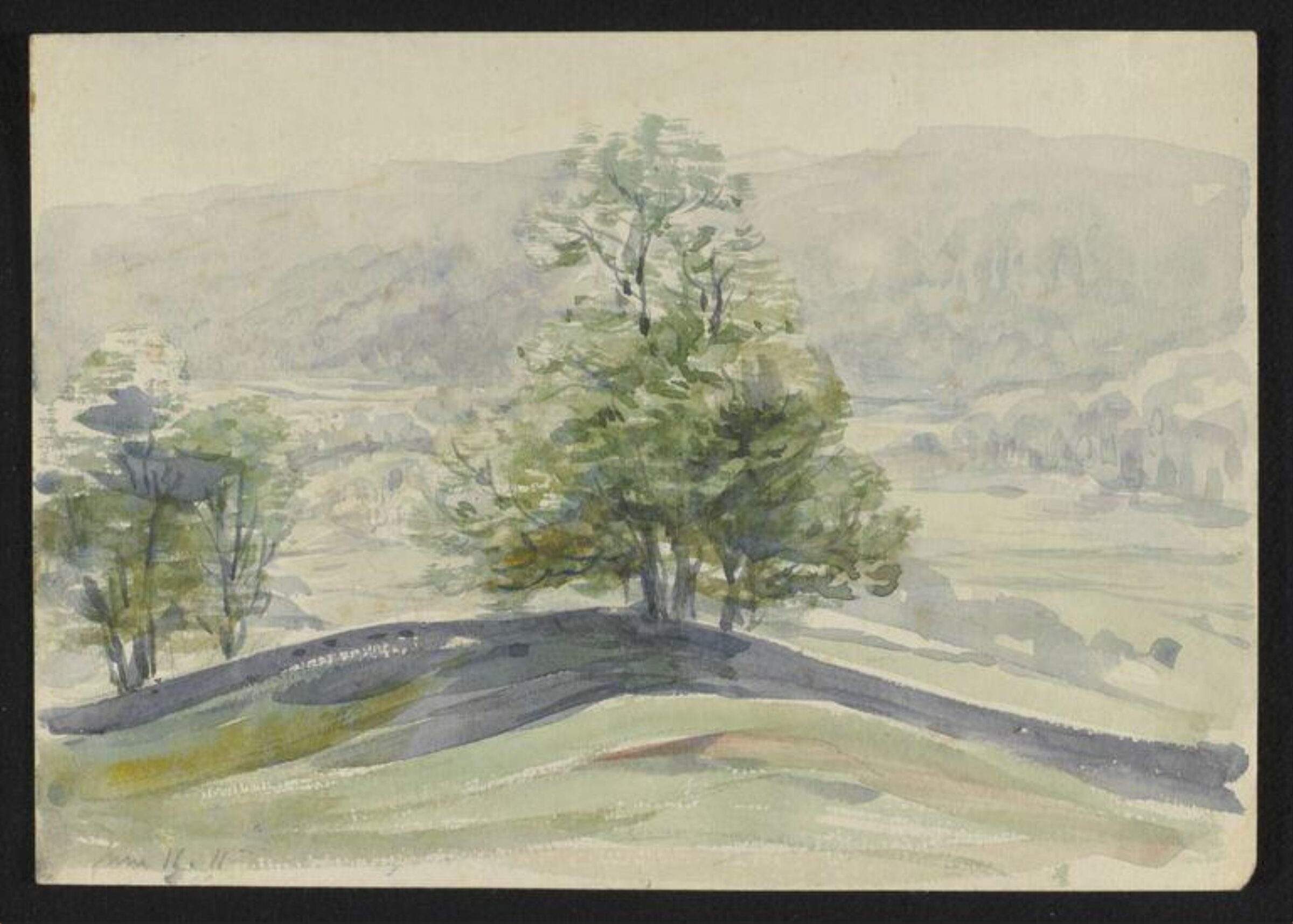 Watercolour, Beatrix Potter, 16/06/1911