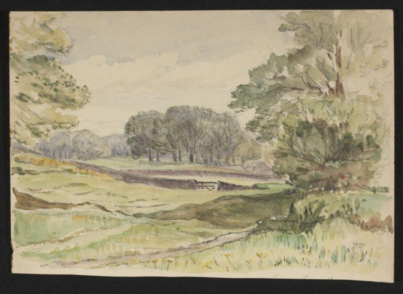 Watercolour, Beatrix Potter, ca.1910