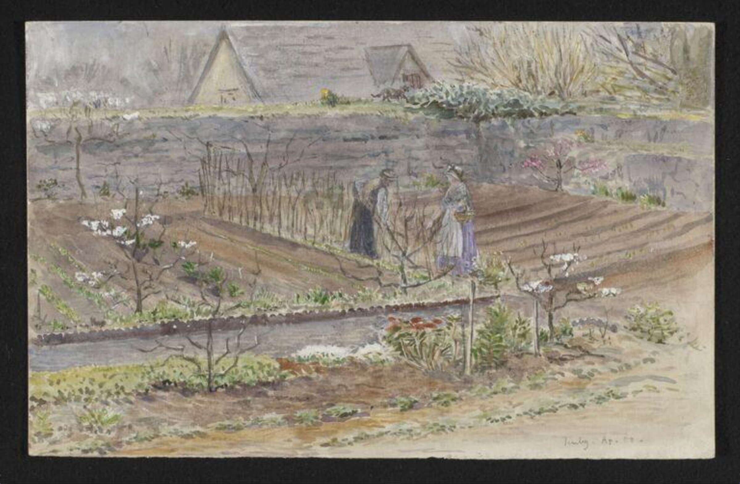 Watercolour, Beatrix Potter, 04/1900