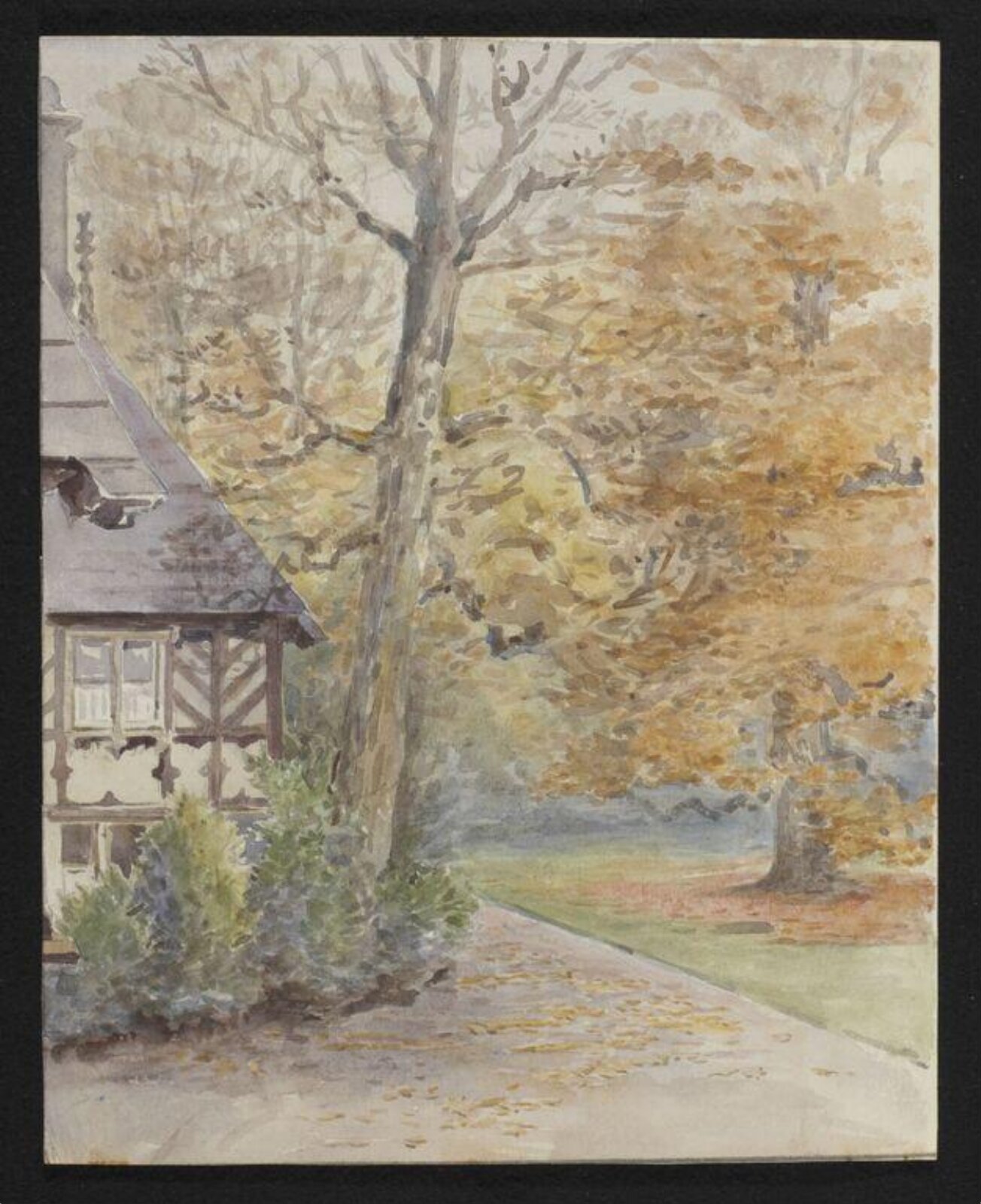 Falling Leaves, Beatrix Potter, 1908-1909