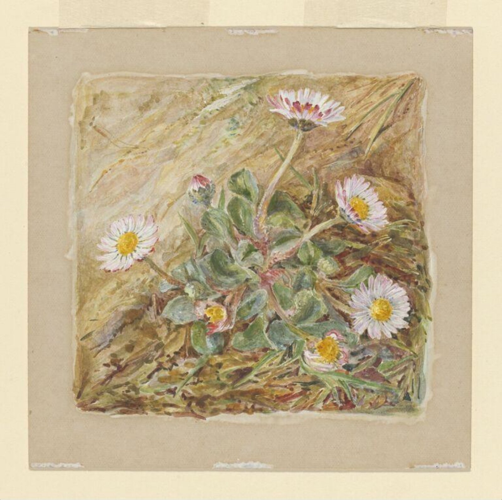 Watercolour, Beatrix Potter, ca.1905
