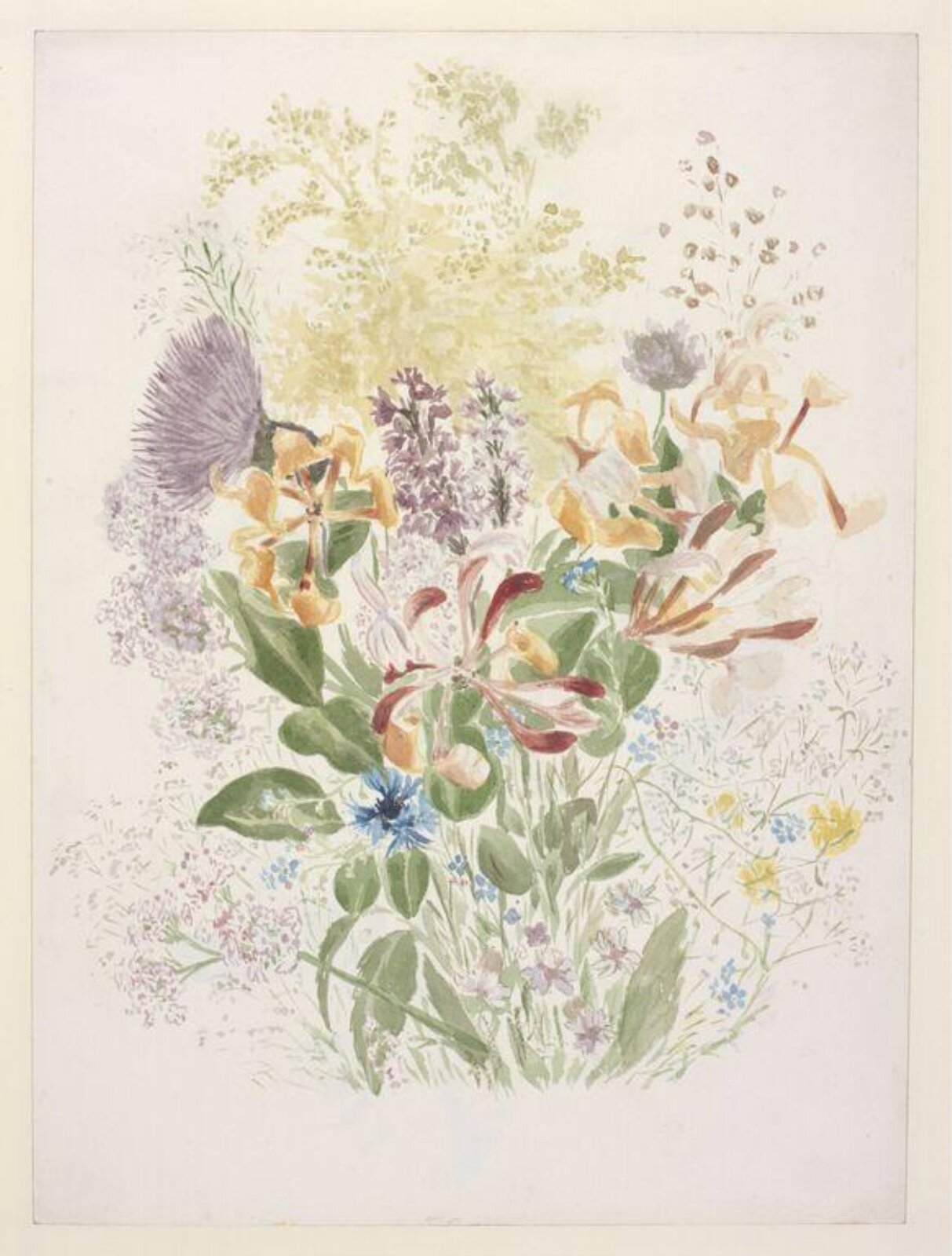 Watercolour, Beatrix Potter, ca.1885