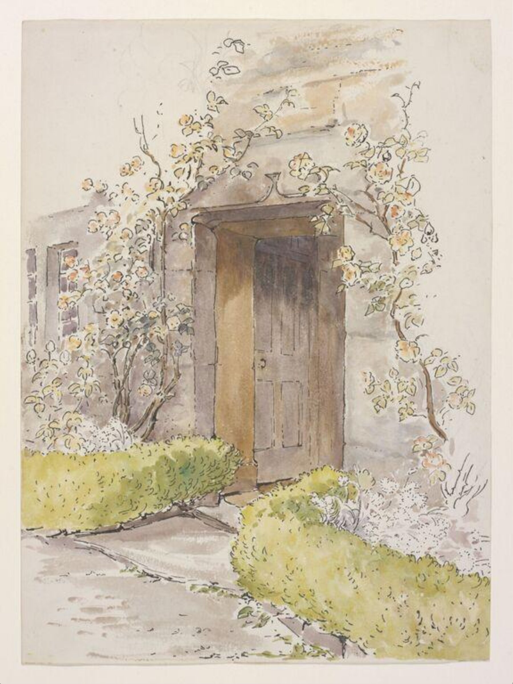Watercolour, Beatrix Potter, 1903