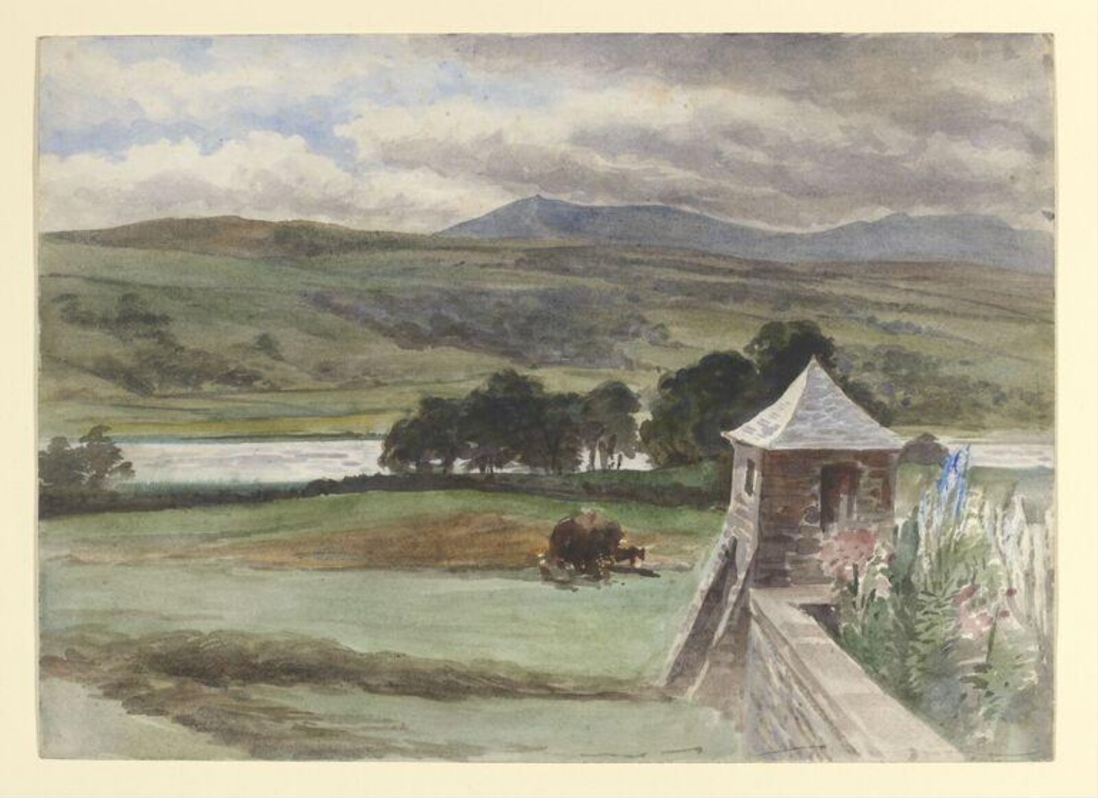 Watercolour, Beatrix Potter, 1900