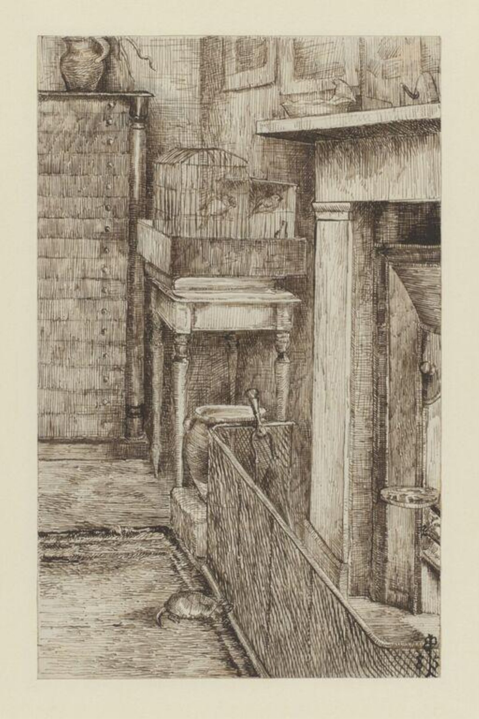drawing, Beatrix Potter, 26/11/1885