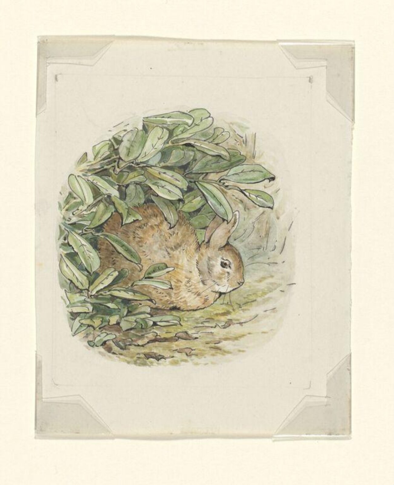 Watercolour, Beatrix Potter, 1902