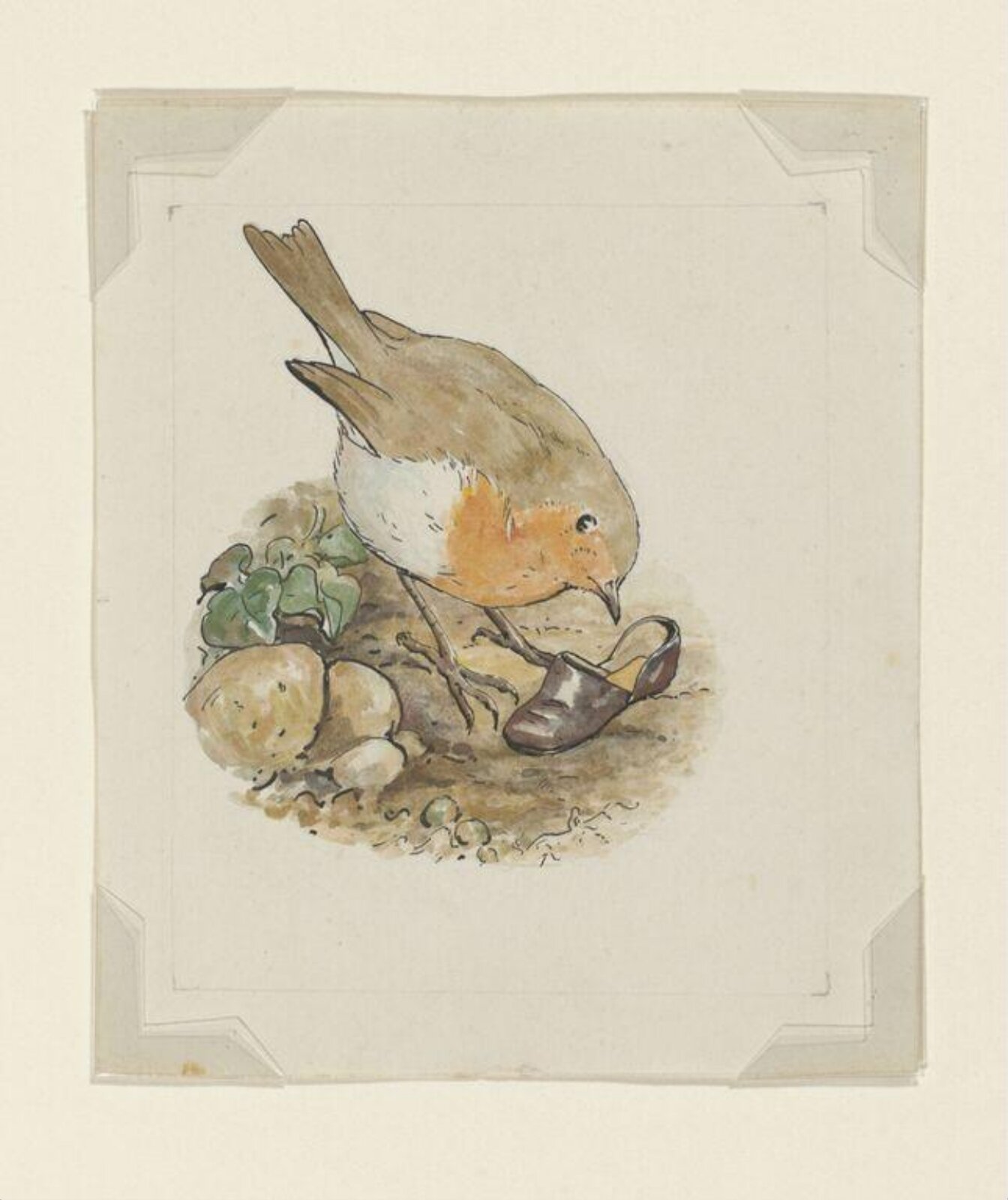 Watercolour, Beatrix Potter, 1902