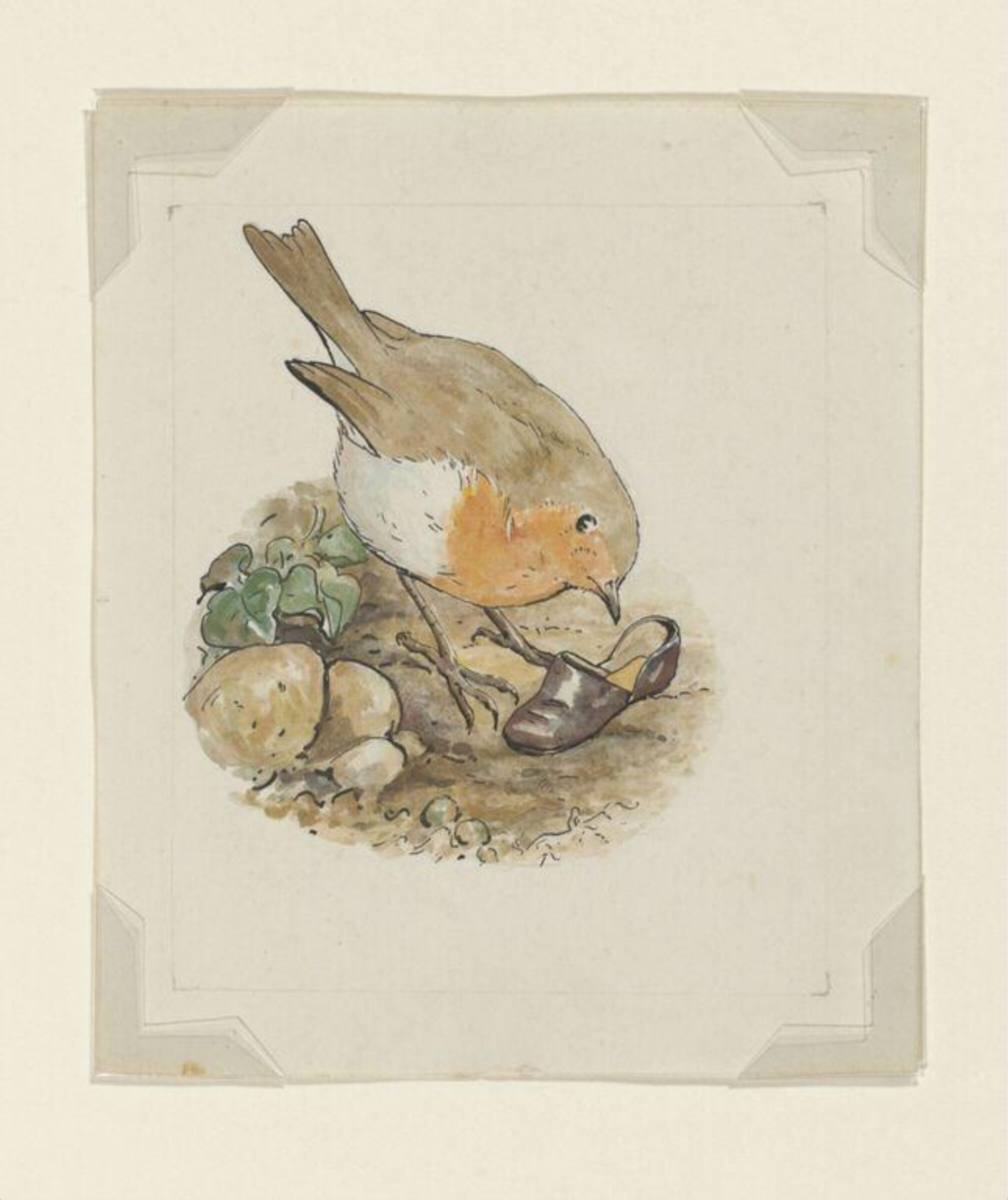 Watercolour, Beatrix Potter, 1902
