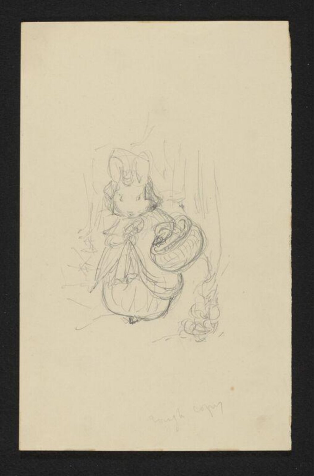 drawing, Beatrix Potter