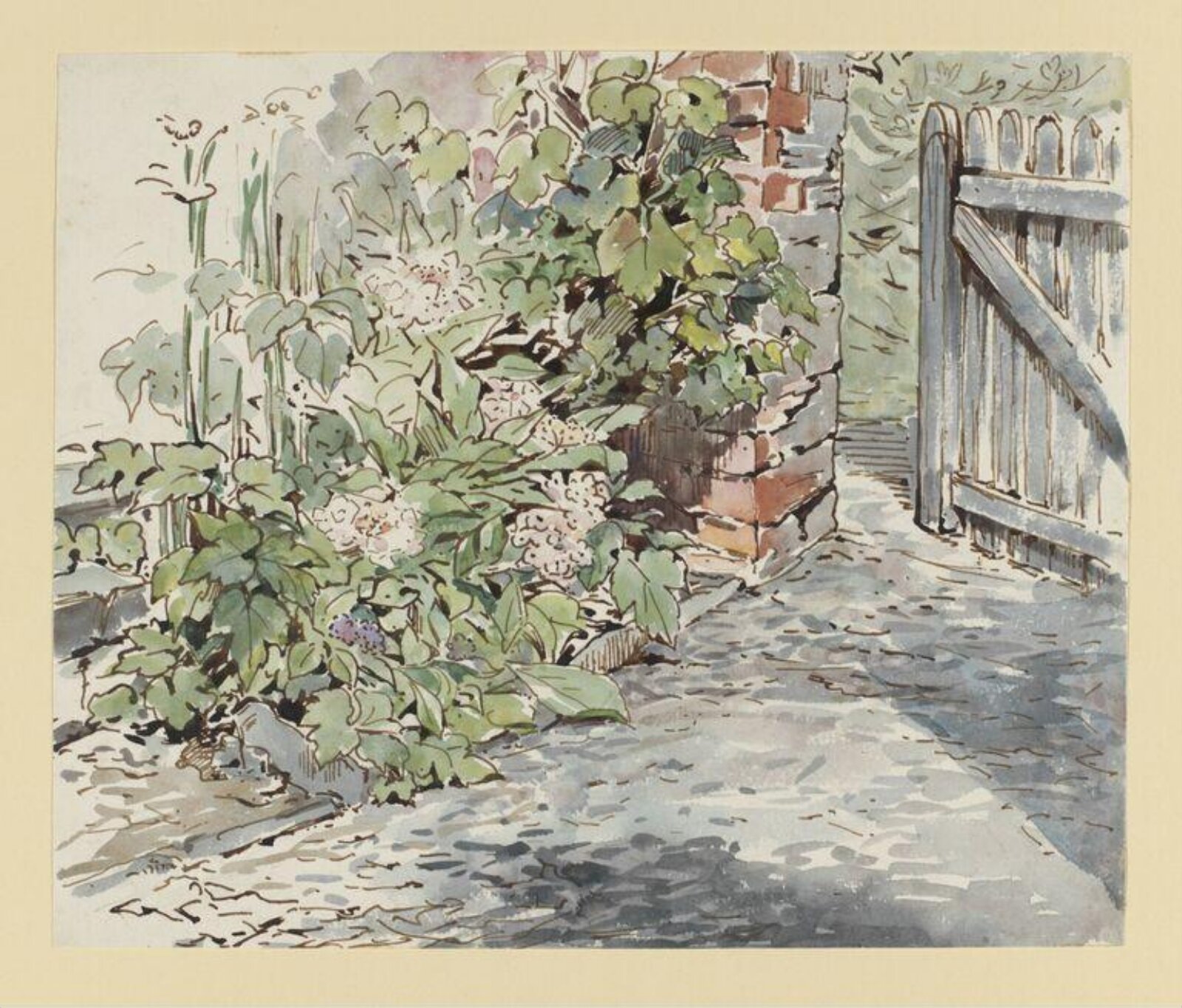 Watercolour, Beatrix Potter, 07/1903-09/1903