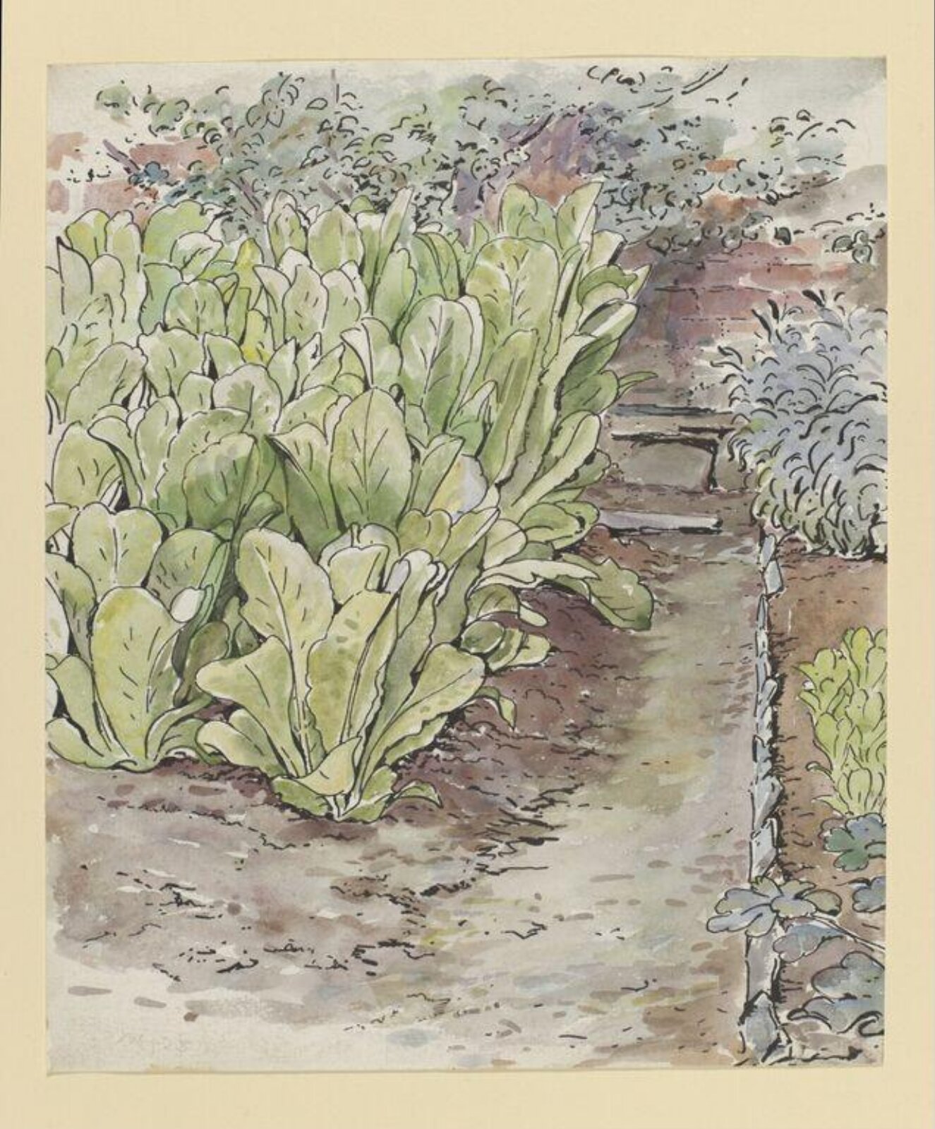 Watercolour, Beatrix Potter, 28/07/1903