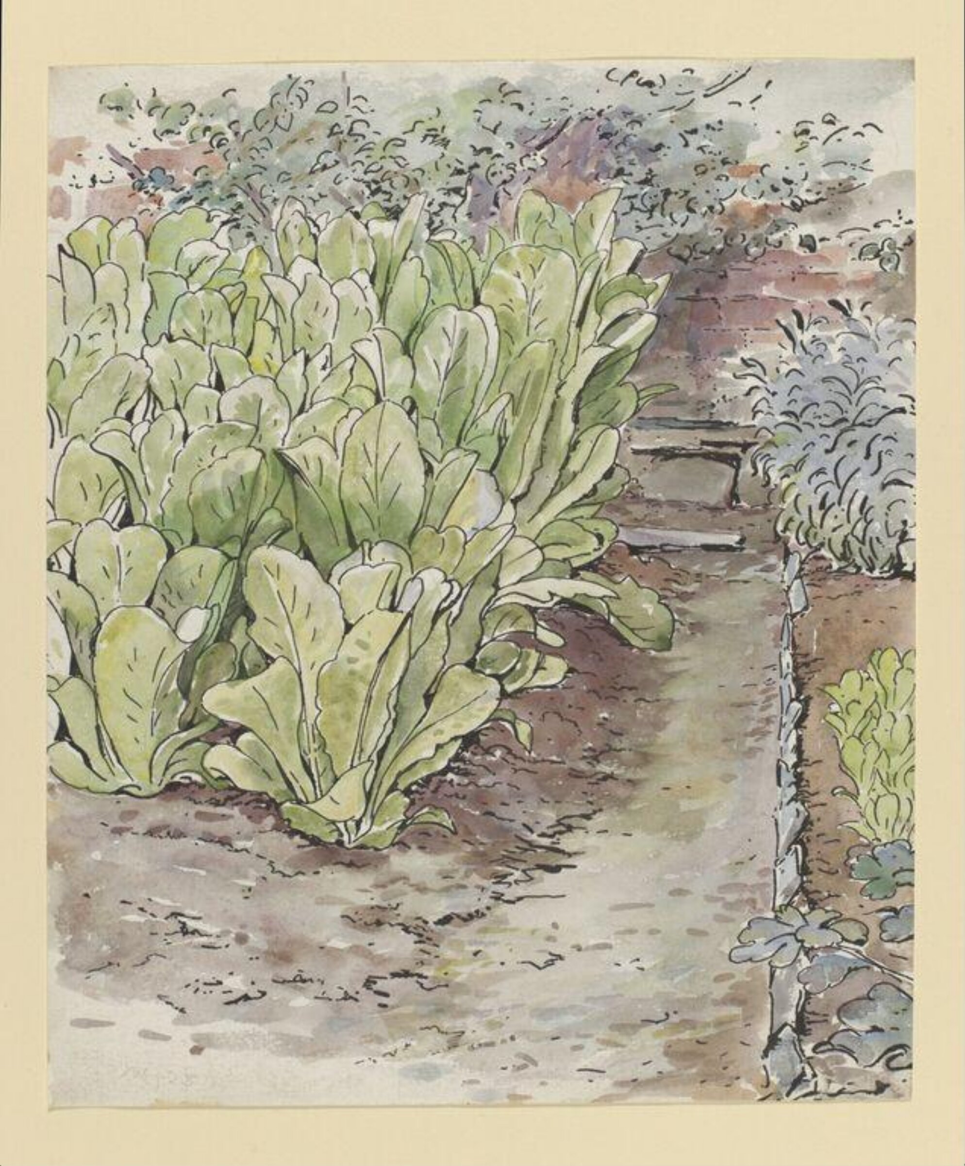Watercolour, Beatrix Potter, 28/07/1903