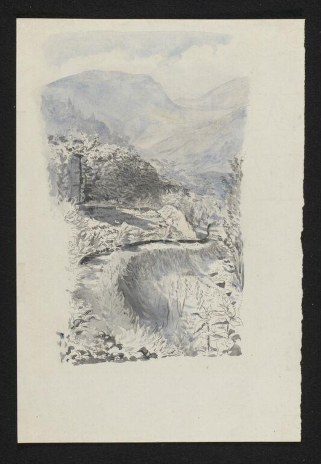 Watercolour, Beatrix Potter, 1899