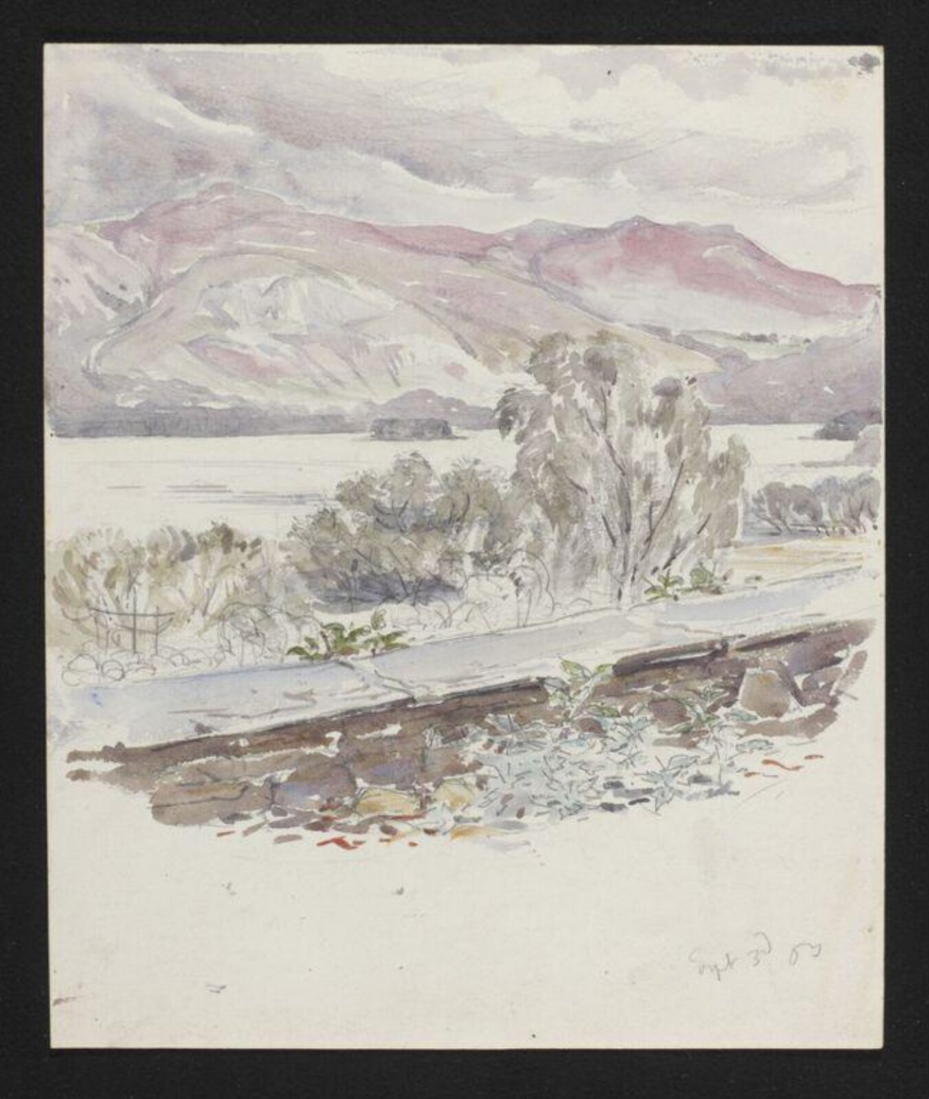 Watercolour, Beatrix Potter, 03/09/1903