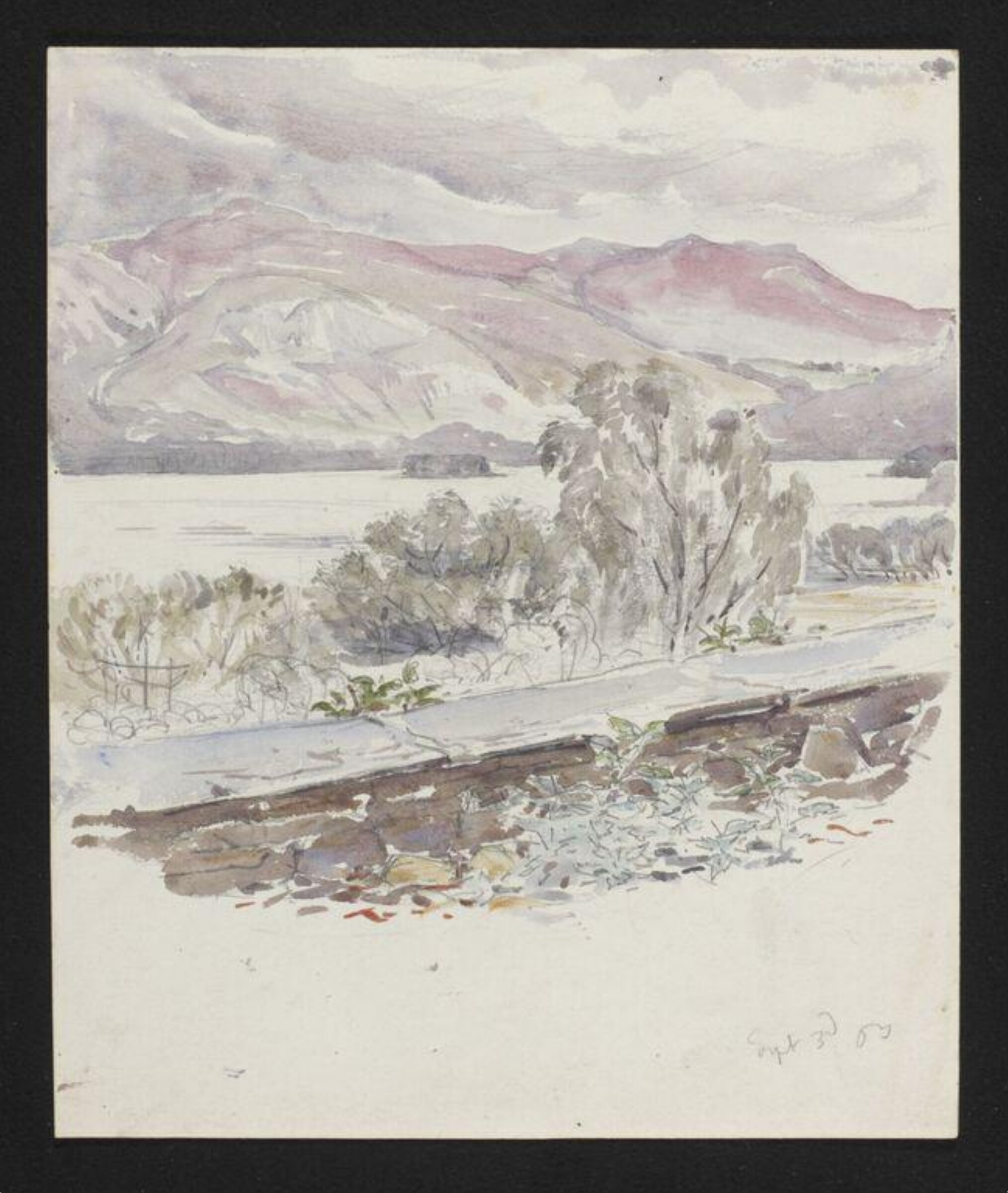 Watercolour, Beatrix Potter, 03/09/1903
