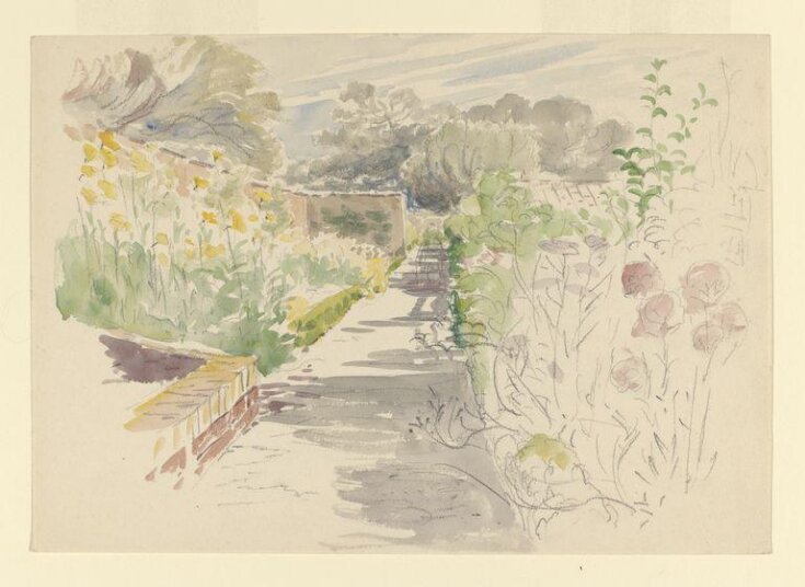 Sketch of the garden at Gwaynynog top image