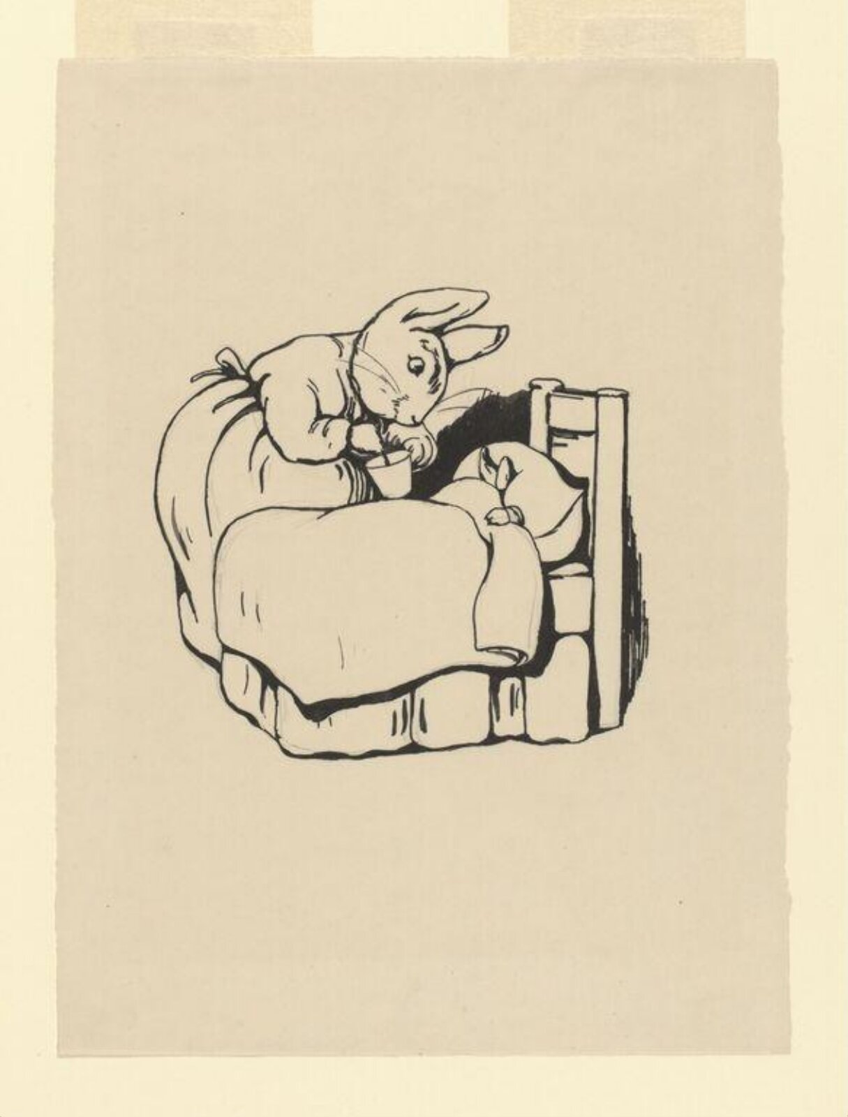 drawing, Beatrix Potter, 1911