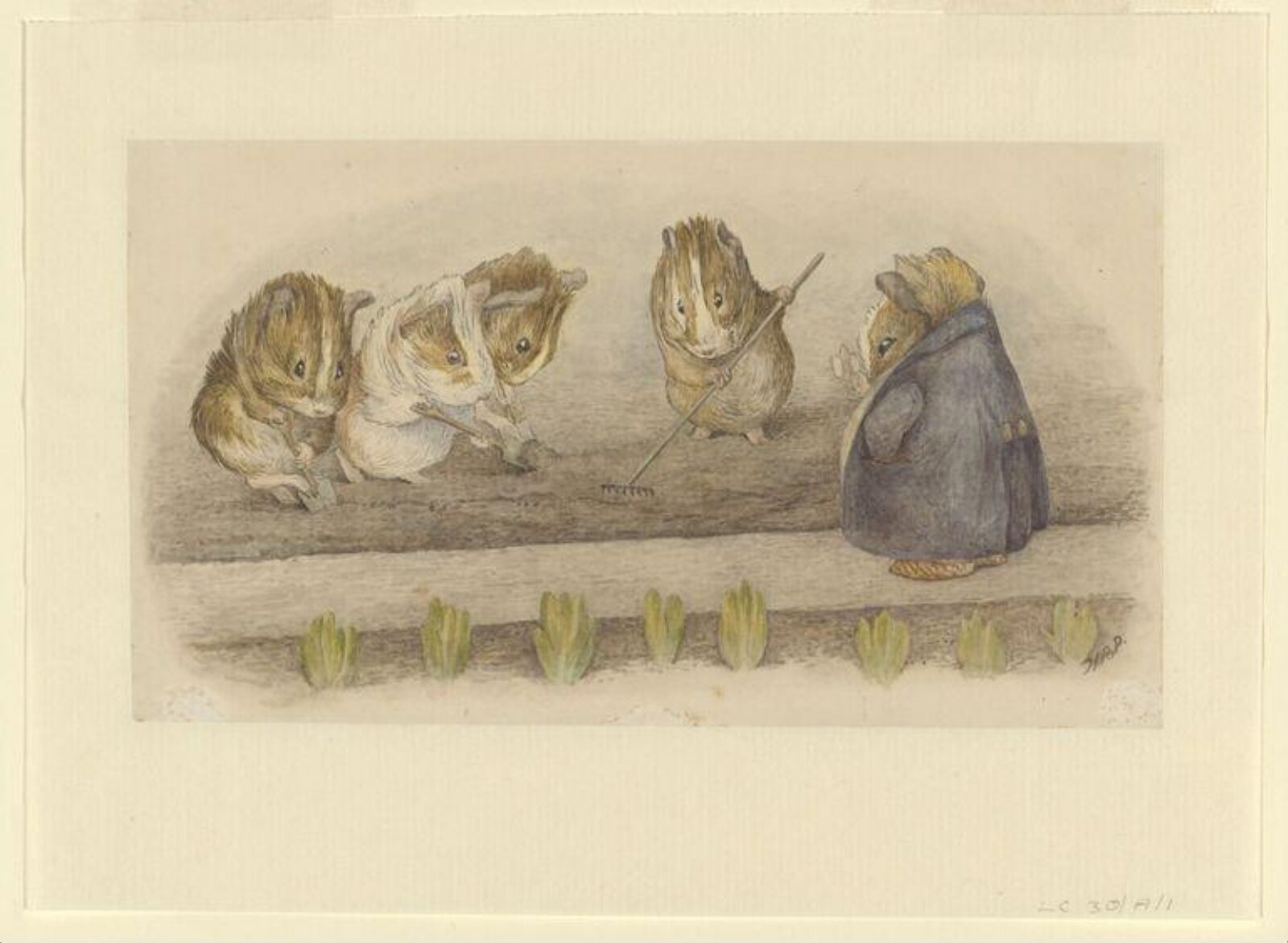 Watercolour, Beatrix Potter, 1893