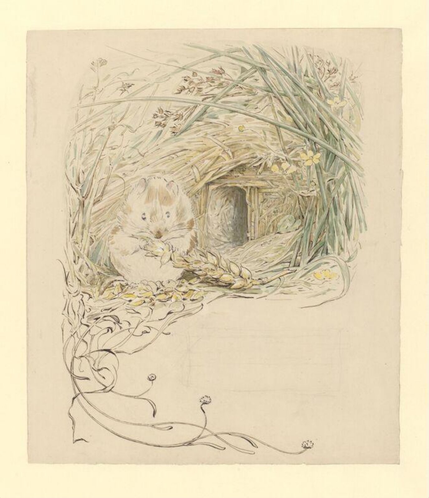 Watercolour, Beatrix Potter, 1905
