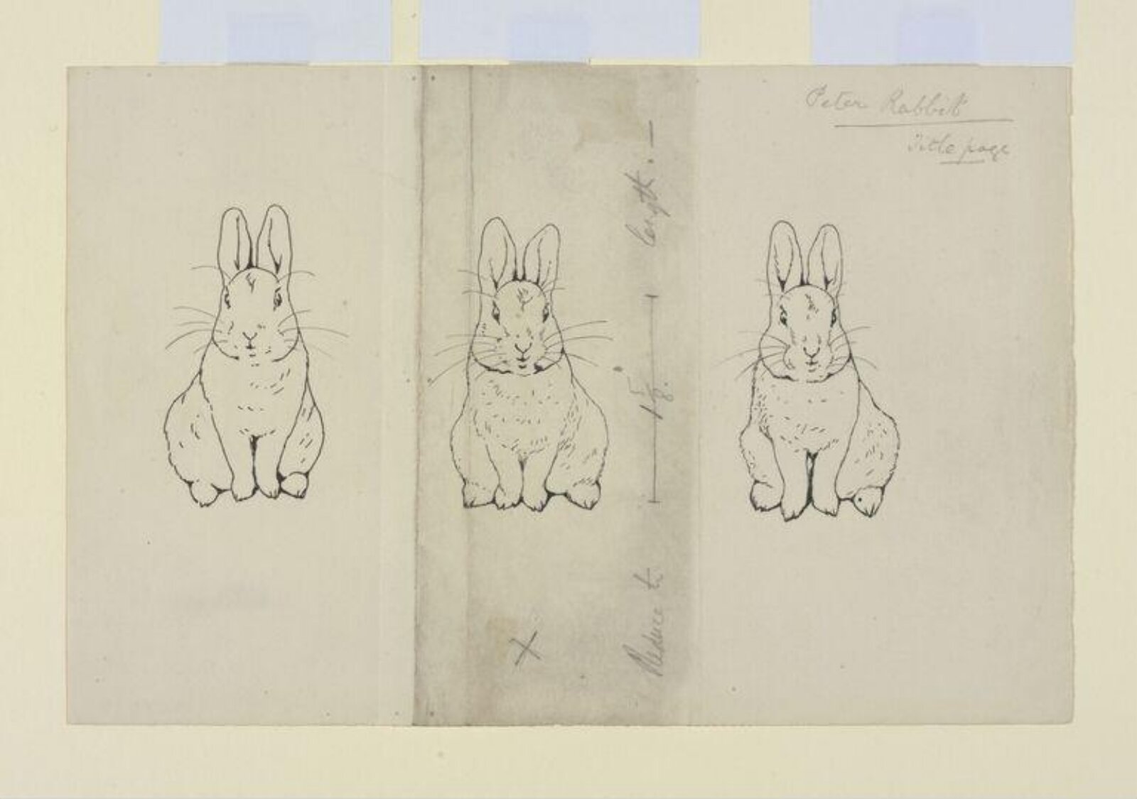 drawing, Beatrix Potter, 1902