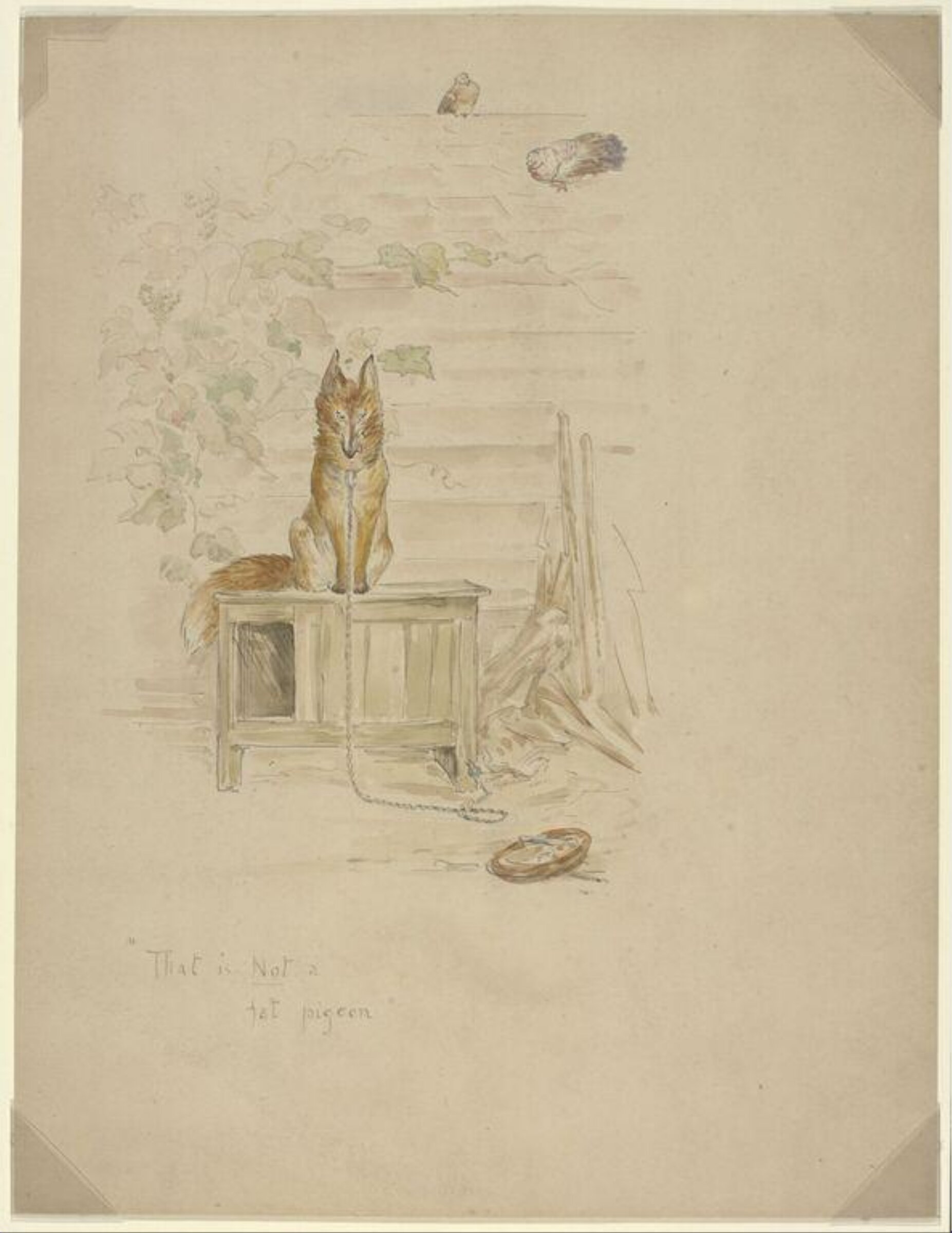 The Fox and the Grapes, Beatrix Potter, ca.1895