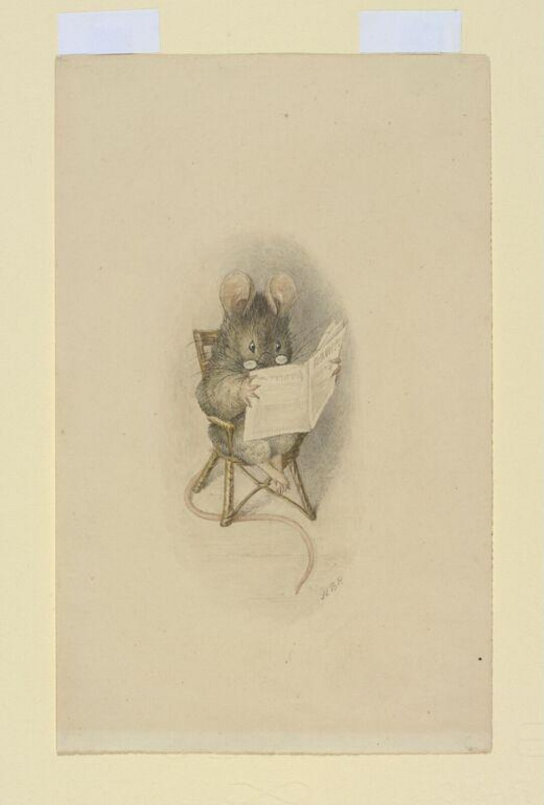 The day's news, Beatrix Potter, 1893-1894